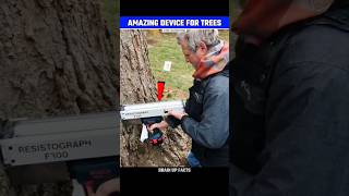 How This Device Check Health Of The Trees😱 [upl. by Philcox]