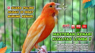 Masteran Kenari PAUD amp Pancingan Kenari MACET BUNYI‼️ Terapi AMPUH Bikin Kenari GACOR Episode 16 [upl. by Verina261]