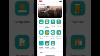 How To Get Proof Of Payment On FNB Mobile Banking App First National Bank [upl. by Delorenzo108]