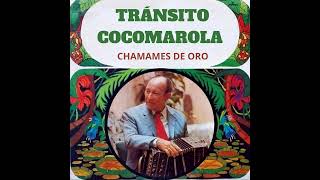 TRÁNSITO COCOMAROLA  Chamamés de oro [upl. by Ultann]