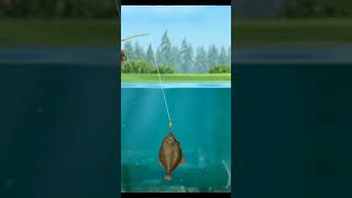 The Farm Shop play fish 🐟🐟 video game [upl. by Danni]