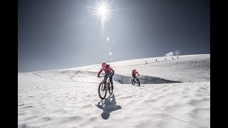 Bike Hochtour Monte Cevedale 3769 m  Gipfel 2019  Fatbike  Mountainbike  Ortlergruppe  MTB [upl. by Anwahsat370]