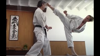 Zen Karate  Rick Hotton [upl. by Emie]