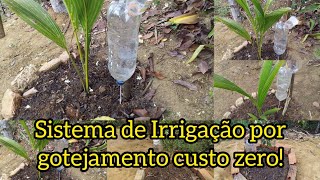 faça você mesmo seu sistema de irrigação por gotejamento🌴💦🌳💧 [upl. by Erimahs]