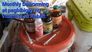 Rabbit Farming Monthly deworming at Vitamin Bcomplex sa mga Rabbit Iwas Mange ng rabbit [upl. by Nortna]