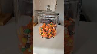 Brachs Candy Corn candycorn brachs yes no shortsvideo halloween pumpkin viralvideo videos [upl. by Malarkey354]