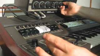 korg sigma  roland dc 30 analog delay [upl. by Harrod]