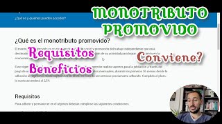 MONOTRIBUTO PROMOVIDO Requisitos Nuevos Cambios Que es Conviene Beneficios [upl. by Dee]