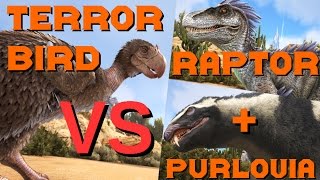 Terror Bird vs Raptor and Purlovia  ARK Survival Evolved [upl. by Suryt757]