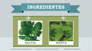 Plantas repelentes de moscas [upl. by Arikahs]