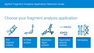 Confident Nucleic Acid Fragment Analysis for Your Applications with Automated Electrophoresis [upl. by Esta]