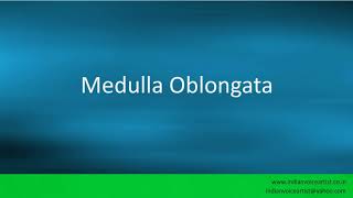 Pronunciation of the words quotMedulla Oblongataquot [upl. by Kraul169]