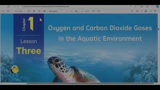 شرح وحل الدرس الثالث من كتاب المعاصر Integrated Science  oxygen and carbon dioxide gases lesson 3 [upl. by Johppa637]