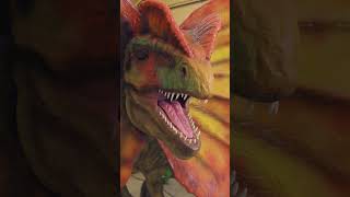 Jurassic Period Dinosaur Sounds  dinosaurs facts fossils paleontology dinomachine [upl. by Fugazy]