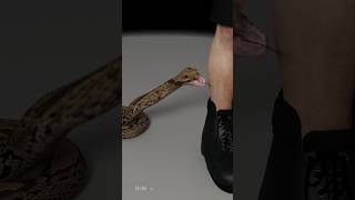 Venomous Snake Bite First Thing You Should Do Is [upl. by Legnaros]