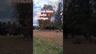 Detroit Metro Area Autumn short viralshort beautiful [upl. by Dnalram]