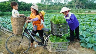 Harvest Green Vegetables Goes to Market Sell  Cooking  Gardening Daily life  Ly Thi Ngoan [upl. by Eissirhc]