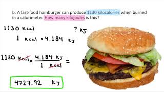 Easy Guide How to Calculate Calories [upl. by Acinnej]