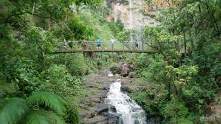 Purling Brook Falls  Springbrook National Park [upl. by Derinna184]