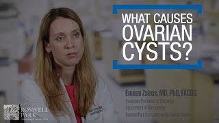 What Can Cause Ovarian Cysts [upl. by Erodasi]