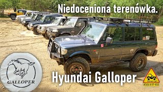 Niedoceniona terenówka Hyundai Galloper w Terenwizji [upl. by Fairlie]