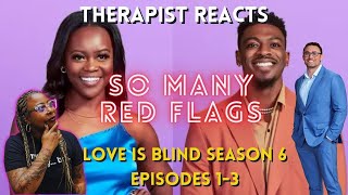 Love is Blind Season 6 Episodes 13 Recap [upl. by Rehpotirhc]