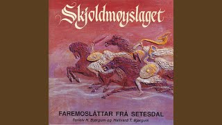 Skjoldmøyslaget  Form Etter Olav Heggland [upl. by Thorstein316]