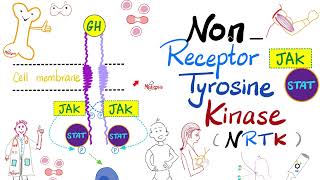 JAKSTAT Pathway — Nonreceptor Tyrosine Kinase NRTK  Cell Signaling  Endocrinology Playlist [upl. by Eytak742]