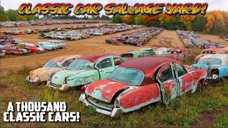 A THOUSAND CLASSIC CARS MASSIVE JUNK YARD Classic Car Salvage Yard Junktown USA Classic Cars [upl. by Freedman]