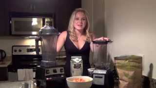 Blendtec vs Vitamix Review Part 1 [upl. by Itnahs]