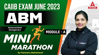 CAIIB June 2023  CAIIB ABM  Mini Marathon  ABM Module A [upl. by Baese]