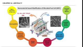 Nanomaterials for improving microbial fuel cell performance [upl. by Halimeda]