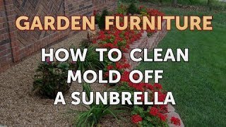 How to Clean Mold Off a Sunbrella [upl. by Yretsym718]