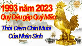 Quý Dậu 1993  Tử Vi Số Mệnh năm 2023  2024  2025  Quý Dậu gặp Quý Mão  Thời Điểm Chín Muồi [upl. by Anyzratak847]