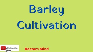 Barley cultivation DoctorsMind [upl. by Ssilem]