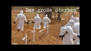 Das Große Sterben  Chris Brohm  SciFi Hörspiel [upl. by Garrott]