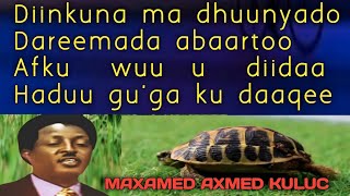 diigaa habeenkii  diigaa habeenkii lyrics  diinkuba ma dhuunyado  kuluc diigaa habeenkii [upl. by Fennell]