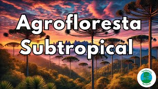 Agrofloresta em Regiões Subtropicais Montanhosas [upl. by Donovan600]