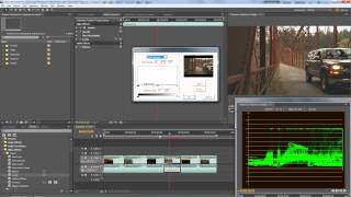 Premiere Pro  Adjusting tonality  brightness amp contrast [upl. by Woll955]