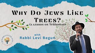 Why Do Jews Like Trees with Rabbi Levi Begun a lesson on TuBishvat [upl. by Gill]