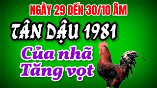 Tử Vi Ngày 29 Đến 3010 Âm Tân Dậu 1981 Đỏ Vận Quý Nhân Đổi Đời Giàu Sang Ngoạn Mục [upl. by Ardnac]