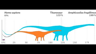 Did Amphicoelias fragillimus the giant sauropod ever exist [upl. by Ardnauq]