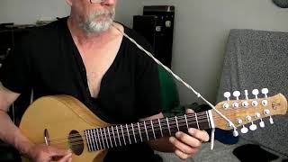 Mooncoin jig on Brauchli cittern [upl. by Tatianas]