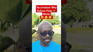 Vaccination and Immunisation Why our ancestors used Vulture Poop 💩 Ghana vaccination vultures [upl. by Eelrahc]