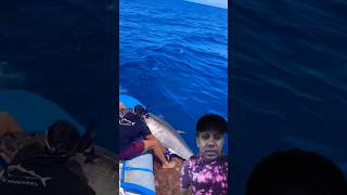 Big fish 🐟 fishing shark fish tuna ocean nature bluewater fishinglife fishshark funny [upl. by Enerod]