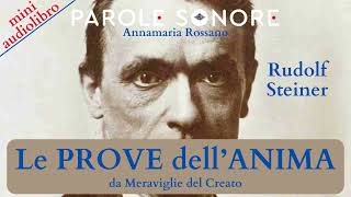 MINI AUDIOLIBRO  LE PROVE DELLANIMA  Rudolf Steiner  Parole Sonore di Annamaria Rossano [upl. by Cerell]