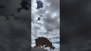 😱Storm Clouds Rolling Over Whyalla😱 shorts timelapse osmopocket3 [upl. by Alor]