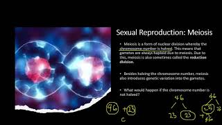 Chapter 161 Inherited Change  Chromosomes and Meiosis [upl. by Redmund649]