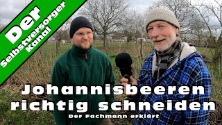 Johannisbeeren richtig schneiden Der Fachmann erklärt [upl. by Saum]