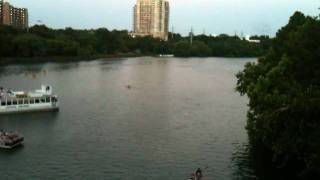 Mexican Freetailed bats at the Congress Avenue Bridge  Austin Texas [upl. by Alva]